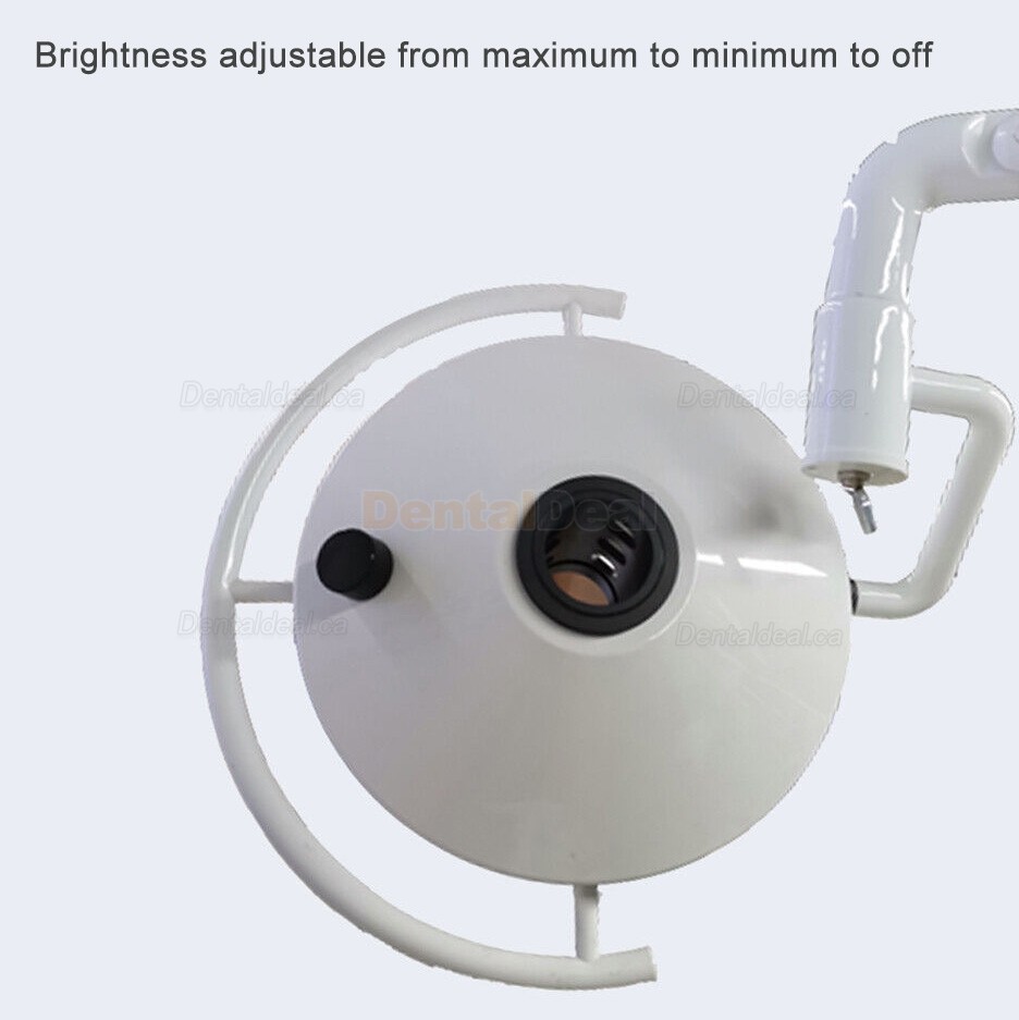 72W Wall-Mounted Dental Surgical Lamp 24 LEDs Dental Shadowless Operating Light